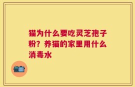 猫为什么要吃灵芝孢子粉？养猫的家里用什么消毒水