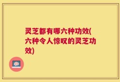 灵芝都有哪六种功效(六种令人惊叹的灵芝功效)