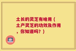土长的灵芝有啥用 (土产灵芝的功效及作用，你知道吗？)