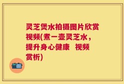 灵芝煲水拍摄图片欣赏视频(煮一壶灵芝水，提升身心健康  视频赏析)