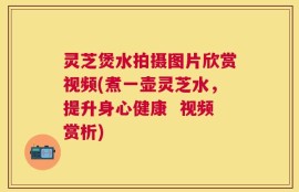 灵芝煲水拍摄图片欣赏视频(煮一壶灵芝水，提升身心健康  视频赏析)