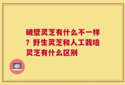 破壁灵芝有什么不一样？野生灵芝和人工栽培灵芝有什么区别