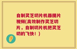 自制灵芝切片机器图片视频(高效制作灵芝切片，自制切片机把灵芝切的飞快！)