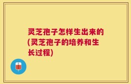 灵芝孢子怎样生出来的(灵芝孢子的培养和生长过程)