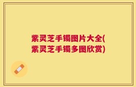 紫灵芝手镯图片大全(紫灵芝手镯多图欣赏)