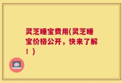 灵芝睡宝费用(灵芝睡宝价格公开，快来了解！)