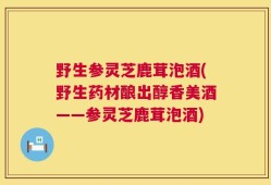 野生参灵芝鹿茸泡酒(野生药材酿出醇香美酒——参灵芝鹿茸泡酒)
