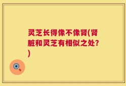 灵芝长得像不像肾(肾脏和灵芝有相似之处？)