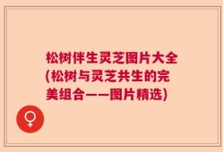 松树伴生灵芝图片大全(松树与灵芝共生的完美组合——图片精选)