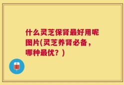 什么灵芝保肾最好用呢图片(灵芝养肾必备，哪种最优？)