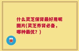 什么灵芝保肾最好用呢图片(灵芝养肾必备，哪种最优？)