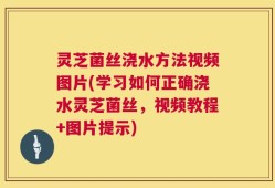 灵芝菌丝浇水方法视频图片(学习如何正确浇水灵芝菌丝，视频教程+图片提示)