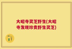 大昭寺灵芝野生(大昭寺发现珍贵野生灵芝)