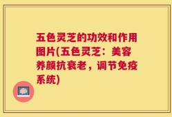 五色灵芝的功效和作用图片(五色灵芝：美容养颜抗衰老，调节免疫系统)