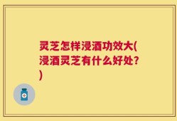 灵芝怎样浸酒功效大(浸酒灵芝有什么好处？)