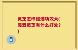 灵芝怎样浸酒功效大(浸酒灵芝有什么好处？)