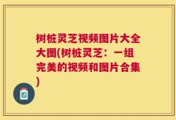 树桩灵芝视频图片大全大图(树桩灵芝：一组完美的视频和图片合集)