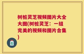 树桩灵芝视频图片大全大图(树桩灵芝：一组完美的视频和图片合集)