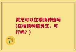 灵芝可以在楼顶种植吗(在楼顶种植灵芝，可行吗？)