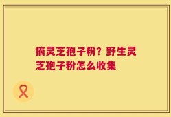 摘灵芝孢子粉？野生灵芝孢子粉怎么收集