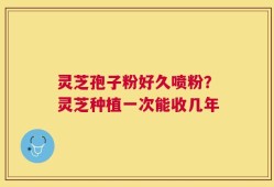 灵芝孢子粉好久喷粉？灵芝种植一次能收几年