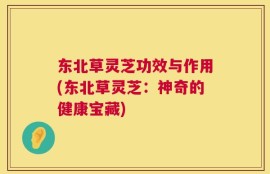 东北草灵芝功效与作用(东北草灵芝：神奇的健康宝藏)