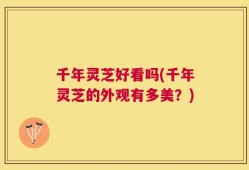 千年灵芝好看吗(千年灵芝的外观有多美？)