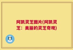 阿凯灵芝图片(阿凯灵芝：美丽的灵芝奇观)