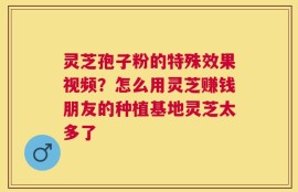 灵芝孢子粉的特殊效果视频？怎么用灵芝赚钱朋友的种植基地灵芝太多了