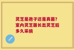 灵芝是孢子还是真菌？室内灵芝菌长出灵芝后多久采摘