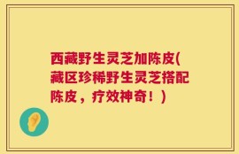 西藏野生灵芝加陈皮(藏区珍稀野生灵芝搭配陈皮，疗效神奇！)