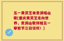 五一黄灵芝来贵洞唱山歌(重庆黄灵芝走向世界，贵洞山歌伴随五一攀岩节三日狂欢！)