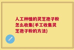 人工种植的灵芝孢子粉怎么收集(手工收集灵芝孢子粉的方法)