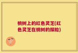 桃树上的红色灵芝(红色灵芝在桃树的探险)