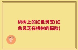 桃树上的红色灵芝(红色灵芝在桃树的探险)