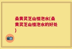 桑黄灵芝山楂泡水(桑黄灵芝山楂泡水的好处)