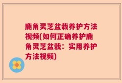 鹿角灵芝盆栽养护方法视频(如何正确养护鹿角灵芝盆栽：实用养护方法视频)