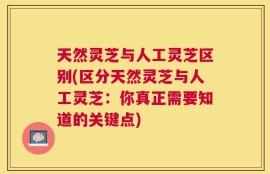 天然灵芝与人工灵芝区别(区分天然灵芝与人工灵芝：你真正需要知道的关键点)