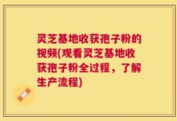 灵芝基地收获孢子粉的视频(观看灵芝基地收获孢子粉全过程，了解生产流程)