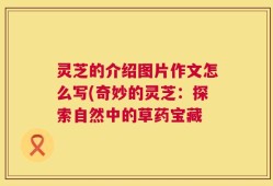 灵芝的介绍图片作文怎么写(奇妙的灵芝：探索自然中的草药宝藏