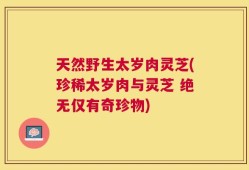 天然野生太岁肉灵芝(珍稀太岁肉与灵芝 绝无仅有奇珍物)