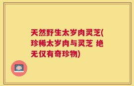 天然野生太岁肉灵芝(珍稀太岁肉与灵芝 绝无仅有奇珍物)