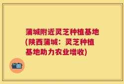 蒲城附近灵芝种植基地(陕西蒲城：灵芝种植基地助力农业增收)