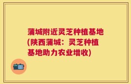 蒲城附近灵芝种植基地(陕西蒲城：灵芝种植基地助力农业增收)