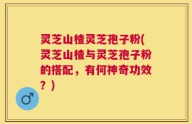 灵芝山楂灵芝孢子粉(灵芝山楂与灵芝孢子粉的搭配，有何神奇功效？)