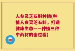 人参灵芝石斛种植(种植人参灵芝石斛，打造健康生态——种植三种中药材的全过程)