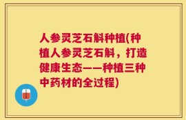 人参灵芝石斛种植(种植人参灵芝石斛，打造健康生态——种植三种中药材的全过程)