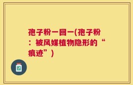 孢子粉一回一(孢子粉：被风媒植物隐形的“痕迹”)