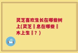灵芝喜欢生长在哪些树上(灵芝棲息在哪些樹木上生長？)