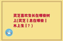 灵芝喜欢生长在哪些树上(灵芝棲息在哪些樹木上生長？)